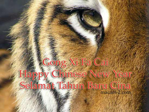 Tiger, Gong Xi Fa Cai