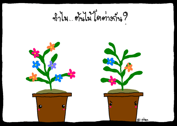 [image013[7].gif]
