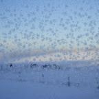 Hoar frost up close on the balcony glass. (Yes, Hoar frost, pronounced the same as that other word you were thinking of.)