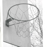 net2.jpg