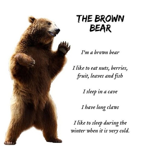 [brown-7[3].jpg]