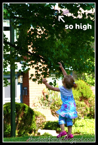 [040[6].jpg]
