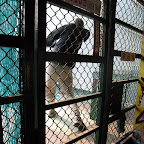South Koreans love 1,000 won batting cages.