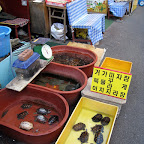 Koreans love turtles.