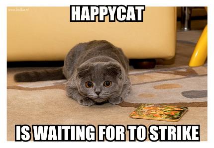 HAPPYCAT IS WAITING FOR TO STRIKE