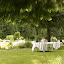 We have two lawns that are on the river side of the house.  A central shaded lawn among the maple and cedar trees and a lawn by the river with a fantastic view of the old growth forest across the river.