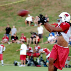 larry fitzgerald daylife action 2.jpg