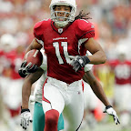 larry fitzgerald daylife action 7.jpg