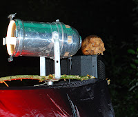 DSC_0016.jpg