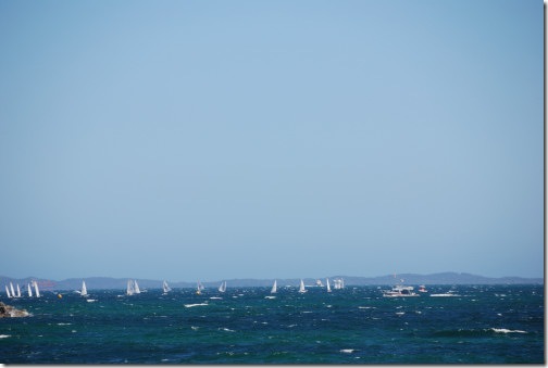DSC_0796 DSC_0796