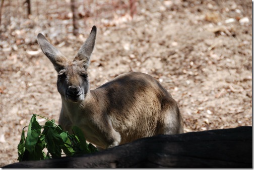 DSC_1190 DSC_1190