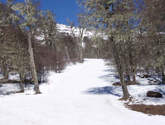 ski 020