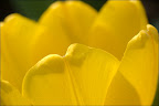 090505-142-w.jpg