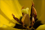 090505-024-w.jpg