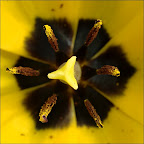 090505-038-w.jpg