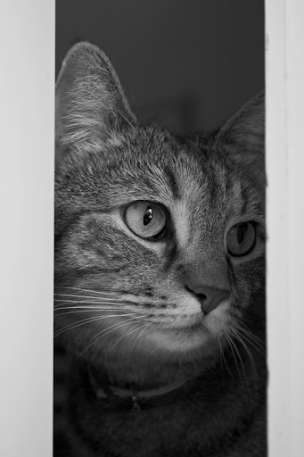 IMAGE: http://lh3.ggpht.com/_ti_aShlyB7A/SXyv360XU4I/AAAAAAAACQs/0ZSIx3ZPJlM/s512/IMG_5802-looking%20forward.jpg