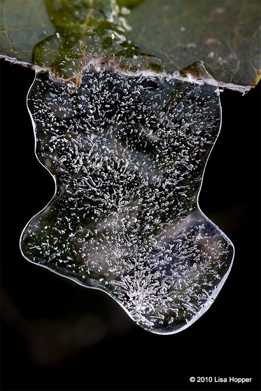 IMAGE: http://lh3.ggpht.com/_ti_aShlyB7A/TRe5QJZH2dI/AAAAAAAAE70/zlRTElq4VpQ/s800/Christmas%20Ice%20Stocking.jpg