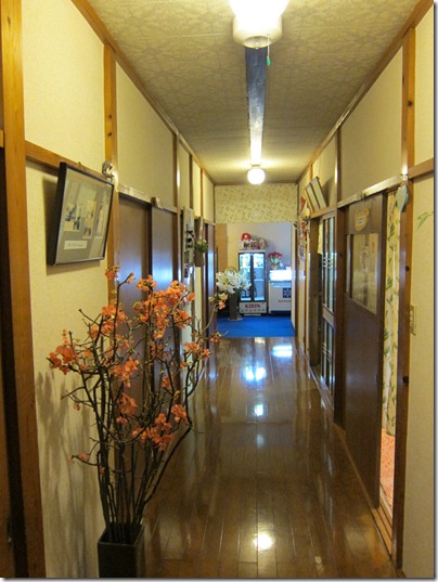 IMG_2309 IMG_2309