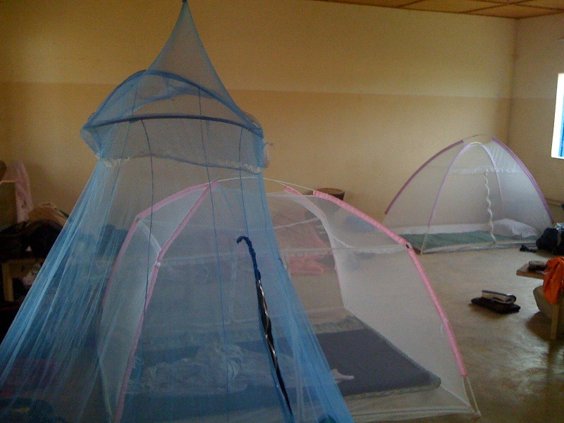 [Mosquito Nets[11].jpg]