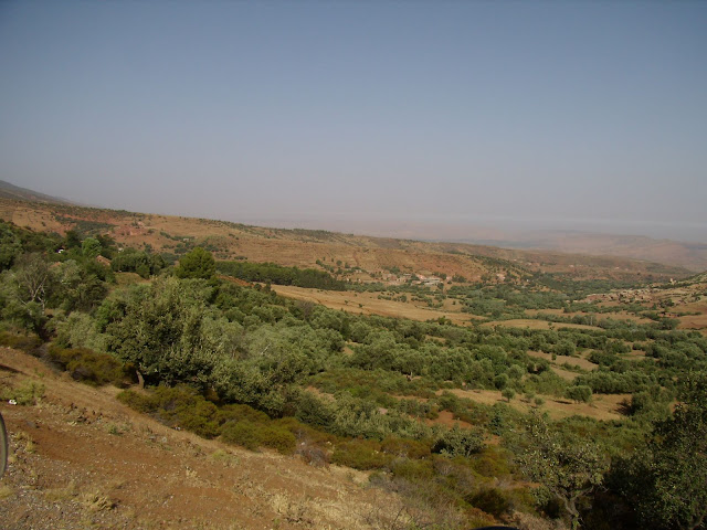 P5220027.JPG