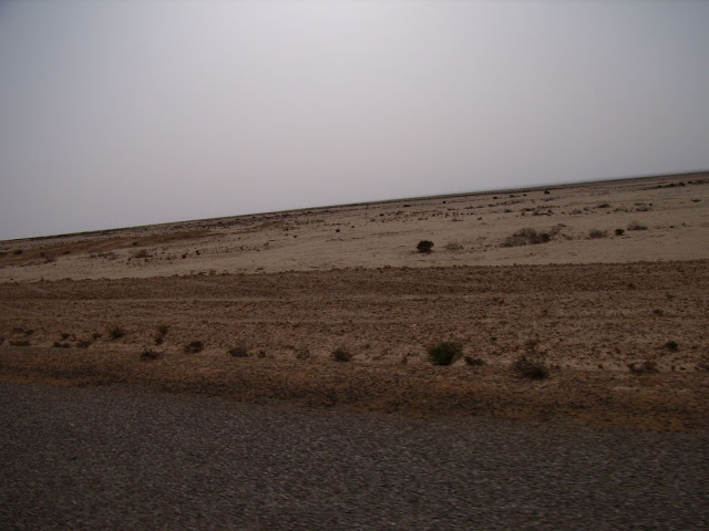 P5190005.JPG