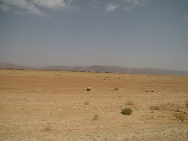P5200026.JPG