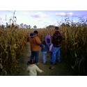 [corn maze[4].jpg]