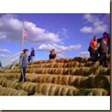 hay stack