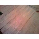 [floor2[3].jpg]