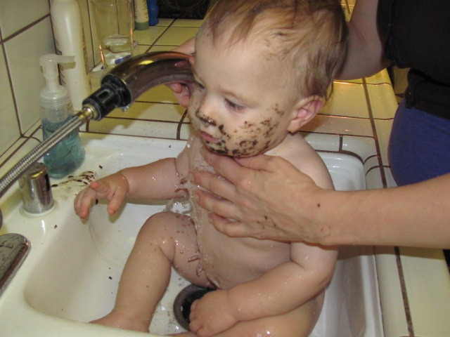 IMG_8603 IMG_8603
