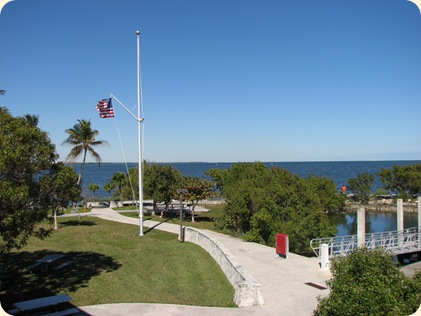 Everglades NP 065