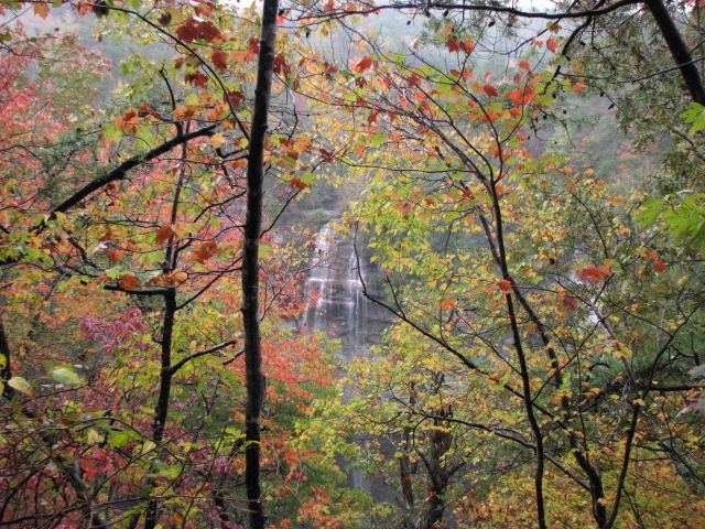 [Fall Creek Falls SP 094[3].jpg]
