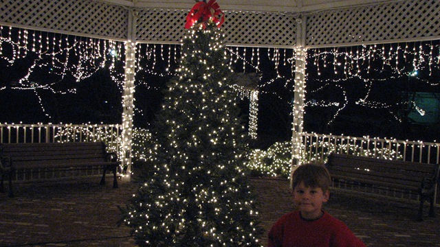 [Christmas Lights at Red Bay 005[3].jpg]