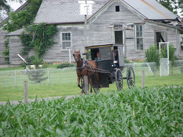[Ilinois Amish 022[3].jpg]