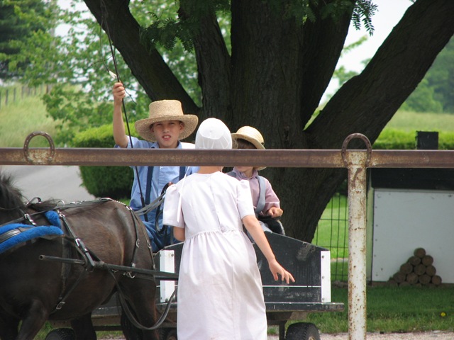 [Elkhart Amish Area - 2010 011[3].jpg]