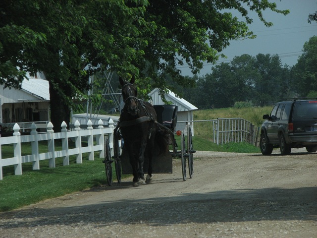 [Montgomery  IN -  Amish 007[3].jpg]