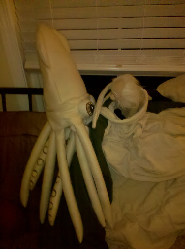 kraken