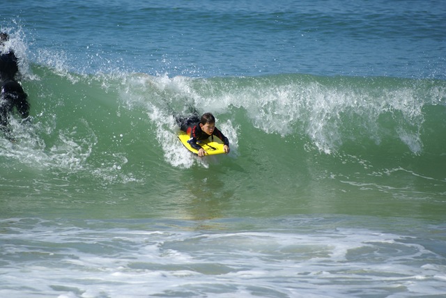 [DSC05077[3].jpg]