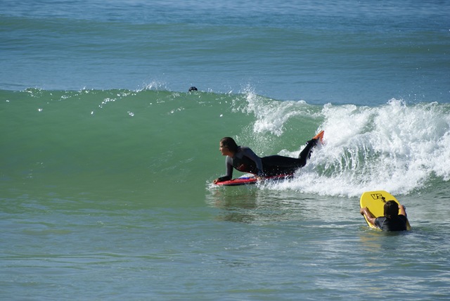 [DSC05026[3].jpg]