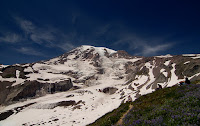 DSC_0823.JPG