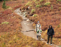 PA17236053.jpg