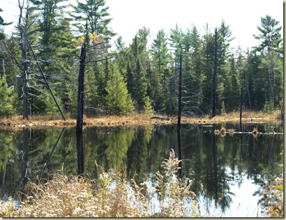 PA250826_StillRiver_10252009_130708