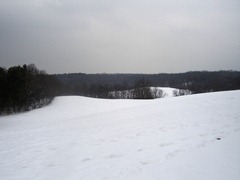 DSC00883