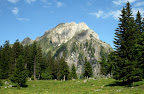 IMG_9721.JPG