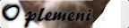 Profil plemene