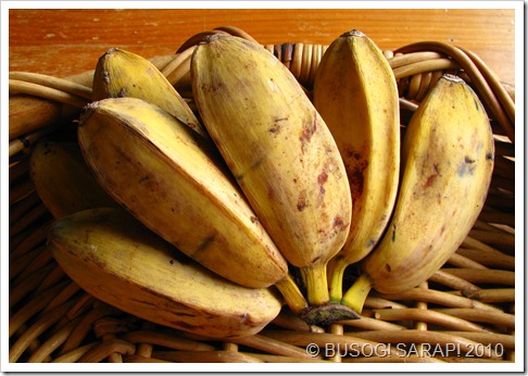 saba© BUSOG! SARAP! 2010