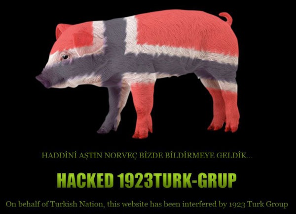 [domuznorvec[8].jpg]