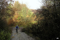 PB130411.JPG