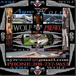 a wolf prowl header