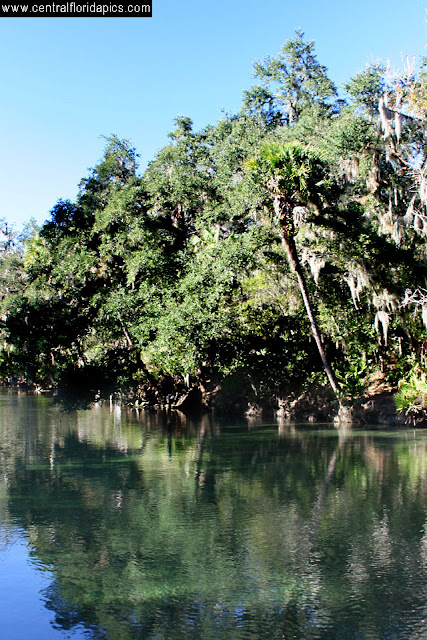Blue Spring State Park